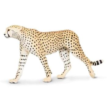 Safari® Gepárd kép