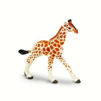 Safari® Hálózatos zsiráfborjú kép