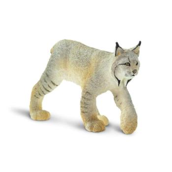 Safari® Kanada hiúz kép