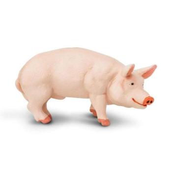 Safari® Kanász kép