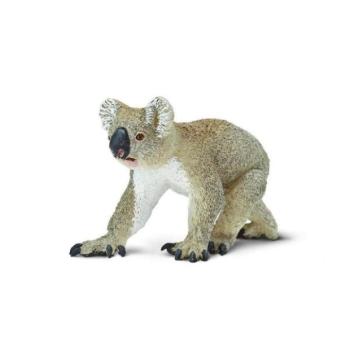 Safari® Koala kép