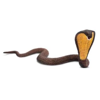 Safari® Kobra kép