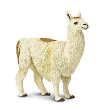 Safari® Láma kép