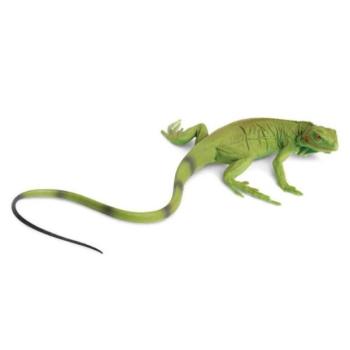 Safari® Leguánkölyök kép