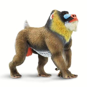 Safari® Mandrill kép