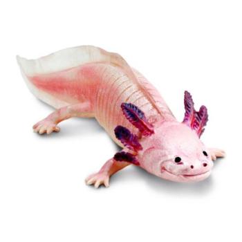 Safari® Mexikói axolotl kép
