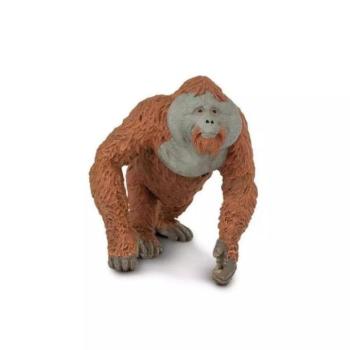 Safari® Orangután kép