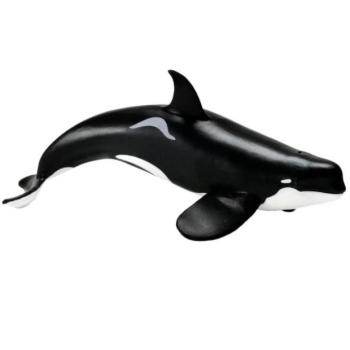 Safari® Orca típus D kép