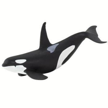 Safari® Orca kép