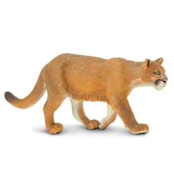 Safari® Puma kép