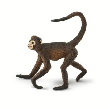 Safari® Sarkantyúka kép