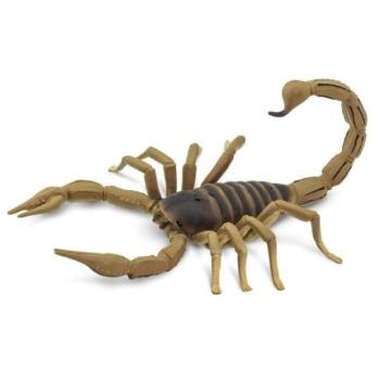 Safari® Skorpió kép