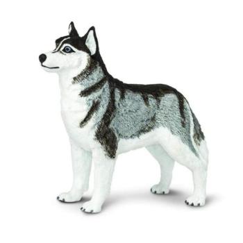Safari® Szibériai husky kép