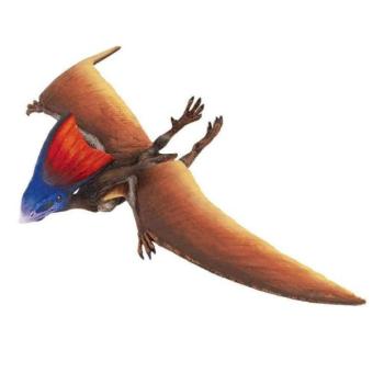 Safari® Tapejara dinoszaurusz kép