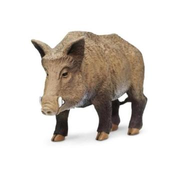 Safari® Vaddisznó kép