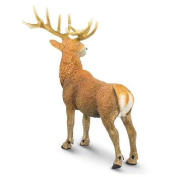 Safari® Vörös szarvas kép