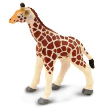 Safari® Zsiráfborjú