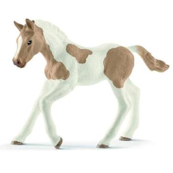 Schleich Animal - csikófajta festék ló kép