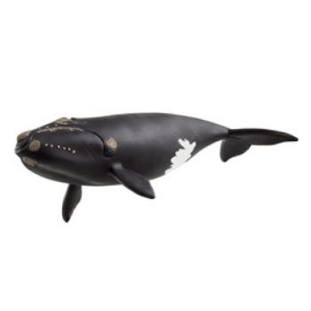 Schleich Észak-Atlanti Kisbálna kép