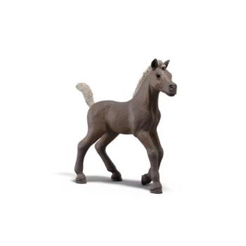 Schleich Gyűjthető Csikó Darcy kép