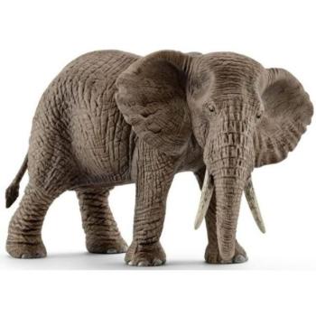 Schleich női afrikai elefánt kép