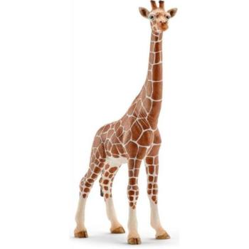 Schleich női zsiráf kép