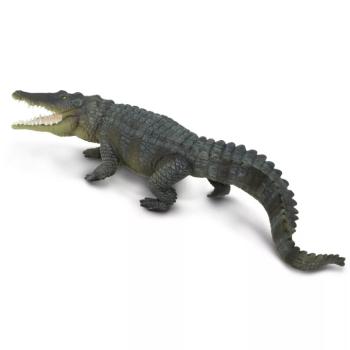 Tengeri krokodil kép