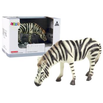 Zebra figura kép